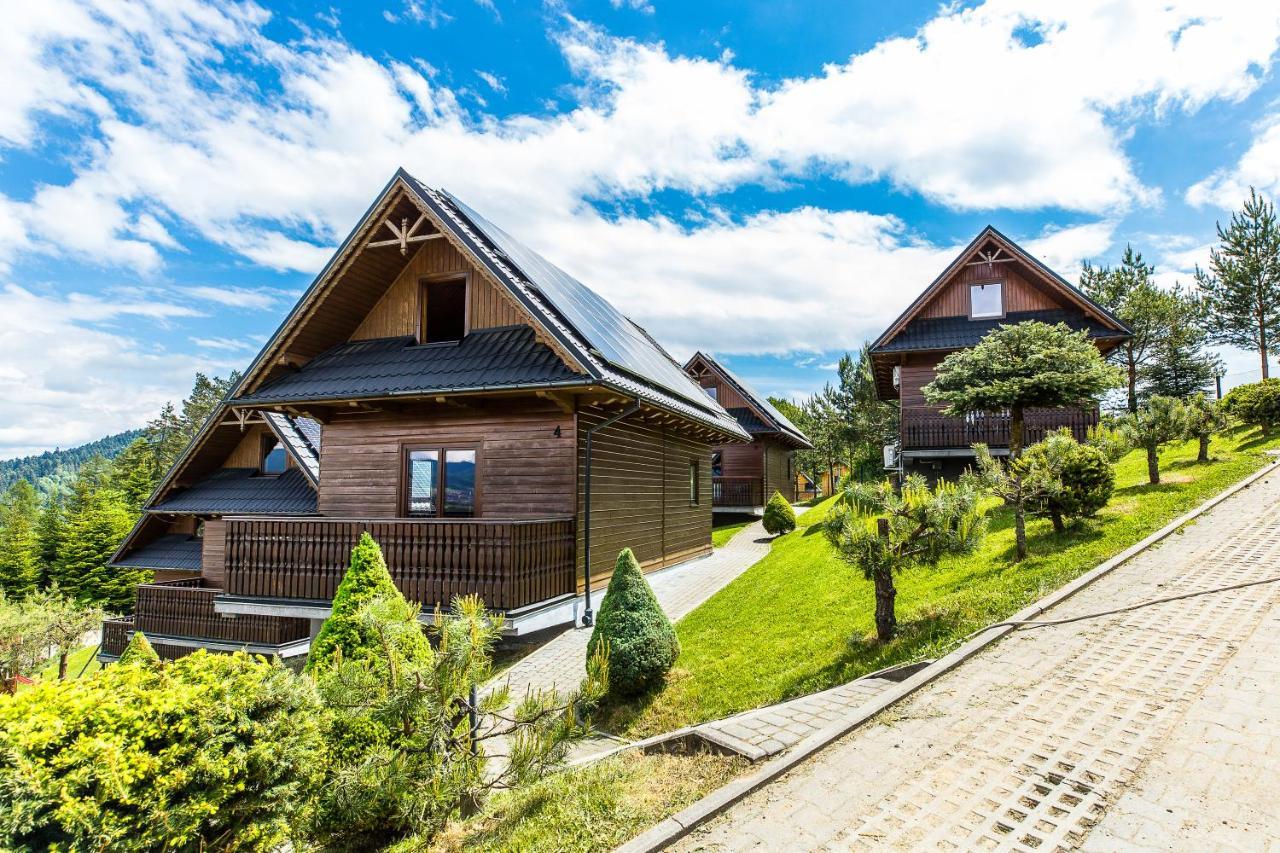 Mergen Bike & Ski Resort 涅兹卡城堡 外观 照片
